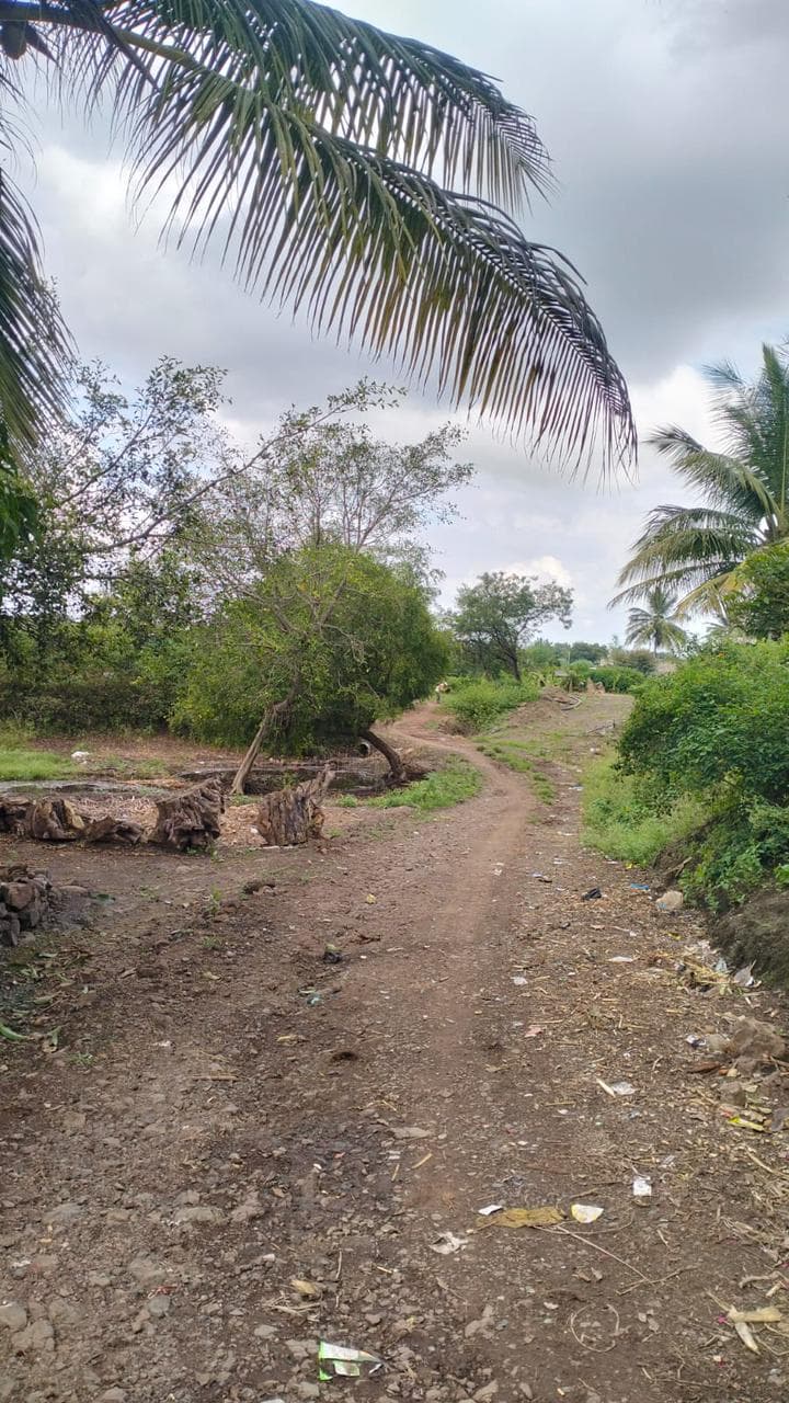 शेतरस्ते